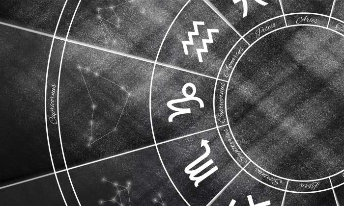 zodii