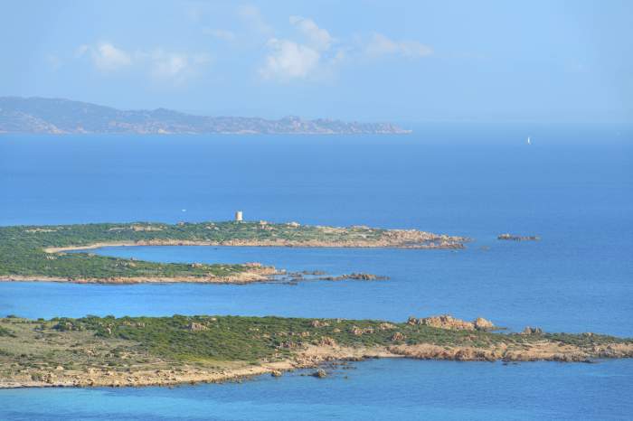 vacanta