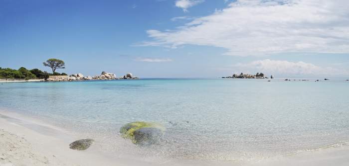 vacanta