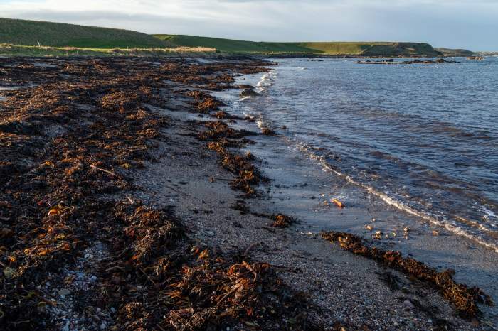 Caril, Fife, Scotland