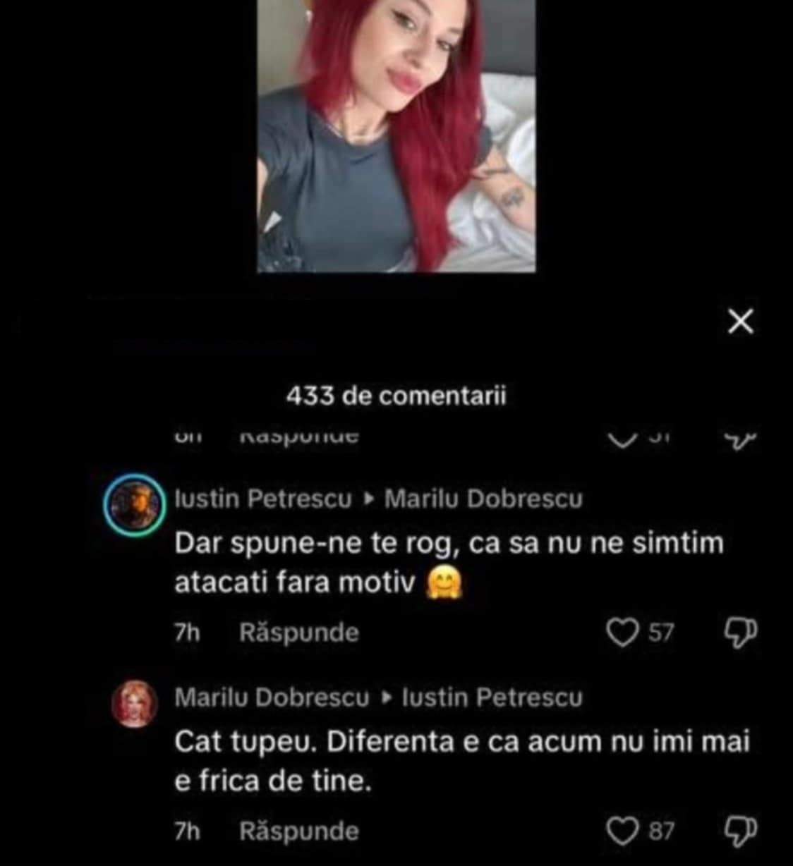 schimb de replici între Iustin Petrescu și Marilu Dobrescu