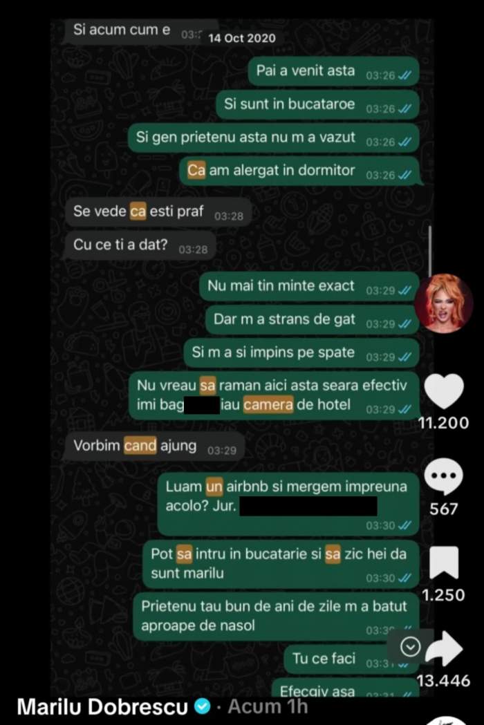 mesajele lui Marilu Dobrescu