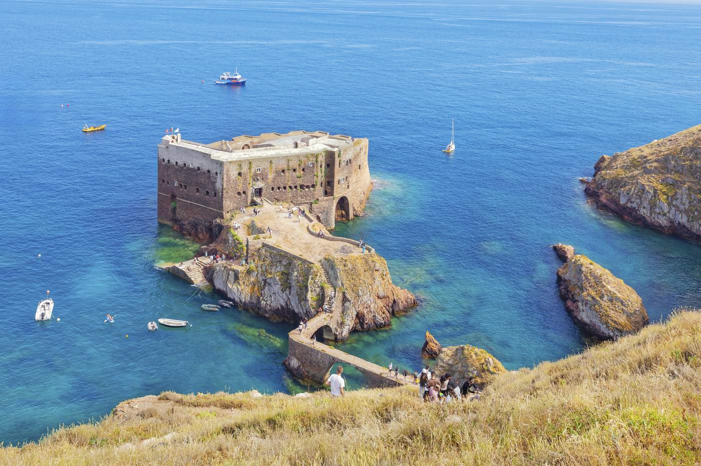 Berlenga Grande