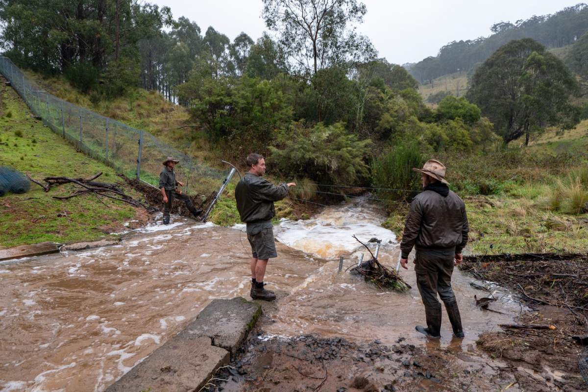 inundatii