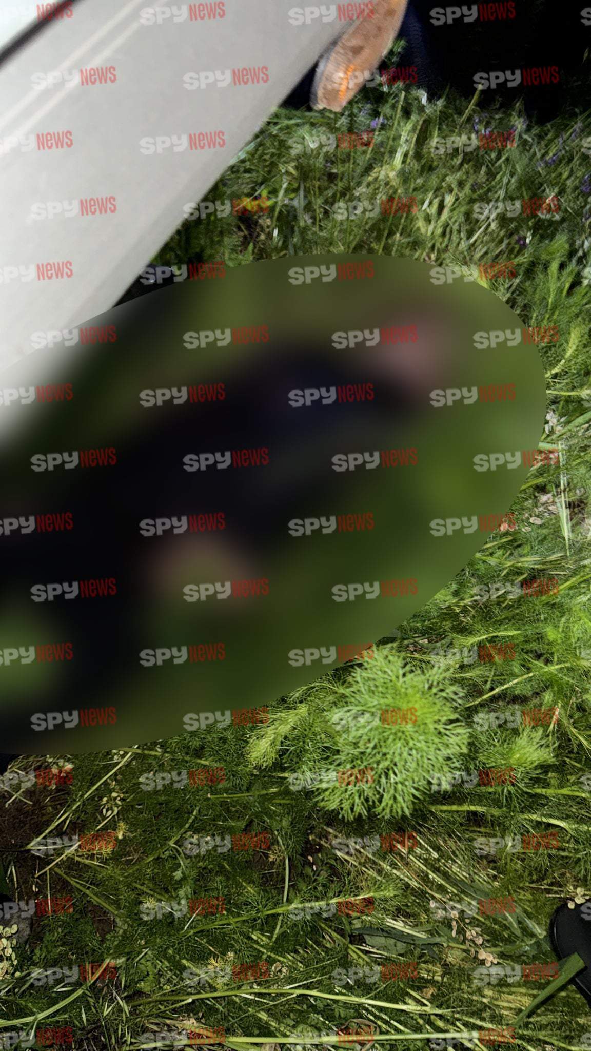 Primele imagini cu ucigașul Teodorei Marcu, după ce s-a împușcat! Unde l-au găsit polițiștii | FOTO