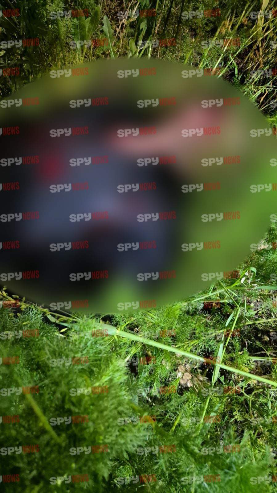 Primele imagini cu ucigașul Teodorei Marcu, după ce s-a împușcat! Unde l-au găsit polițiștii | FOTO