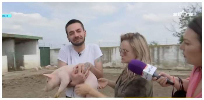 David Pușcaș, la muncă, la ferma Amaliei Bellantoni: „Îmi vine să vomit, nu mai pot”. A început să fugă, speriat, de porci
