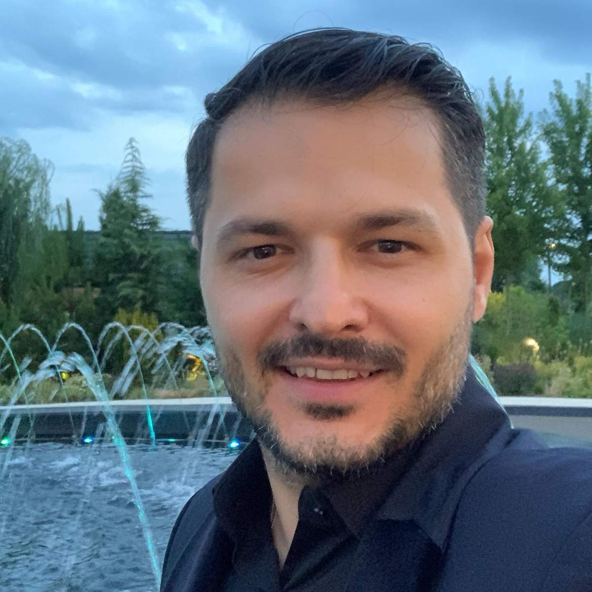 liviu varciu