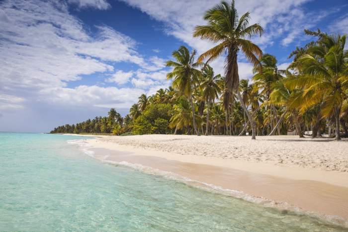 Canto de la Playa, Saona Island, Parque Nacional del Este, Punta Cana, Republica Dominicană, Indiile de Vest, Caraibe, America Centrală