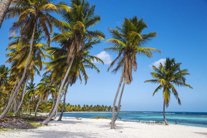 Canto de la Playa