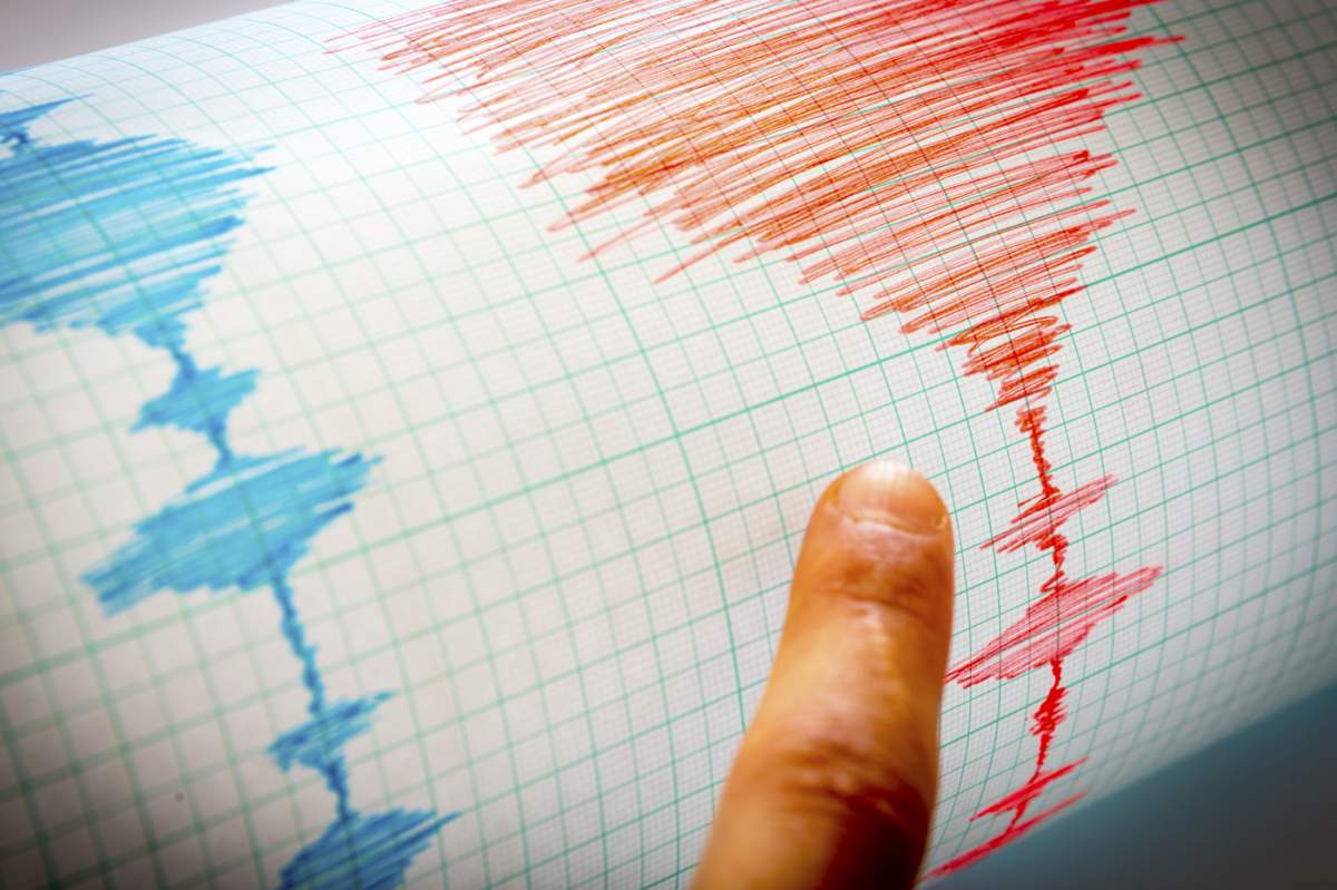 Dispozitiv seismologic pentru măsurarea cutremurelor. Linii de activitate seismologică pe foaia de hârtie de măsurare