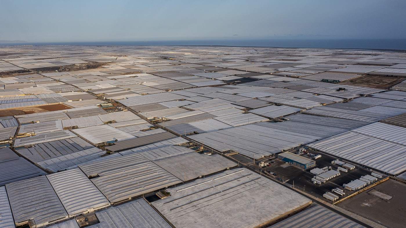 rețeaua de sere din Almeria