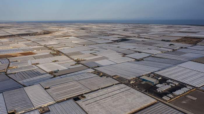 rețeaua de sere din Almeria