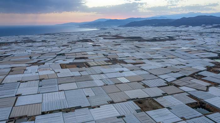 rețeaua de sere din Almeria