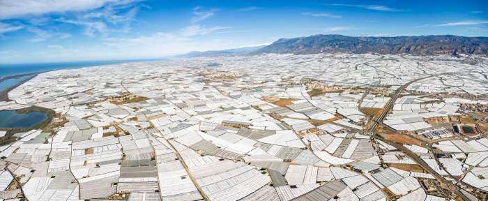 rețeaua de sere din Almeria