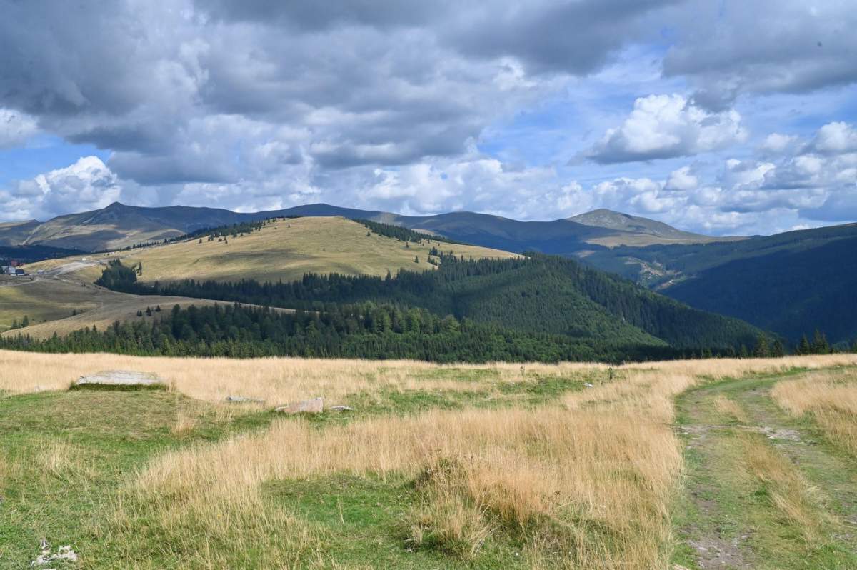 transalpina