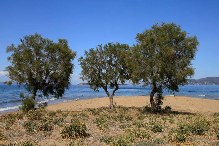 Insula Agistri din Grecia