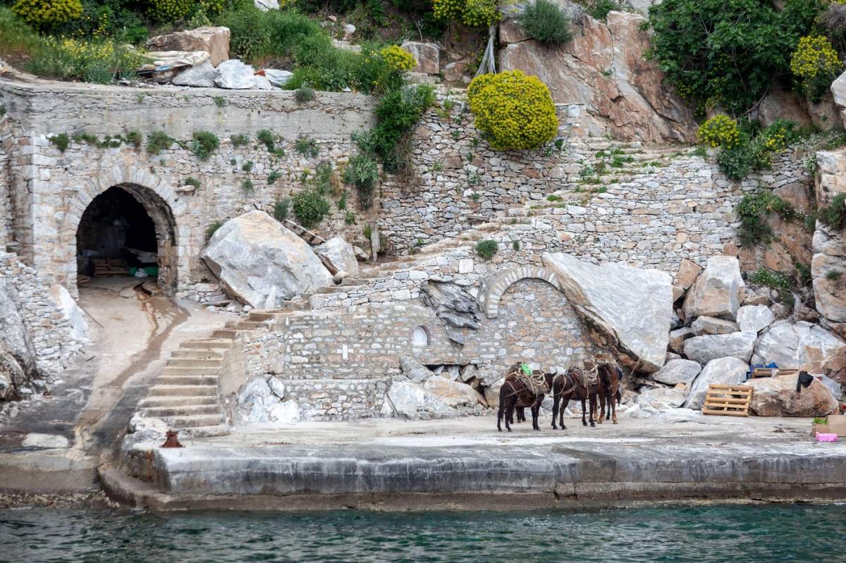 Măgari pe malul mării, pe vechiul doc de piatră cu arcuri și scări, în micul port Katounakia, în Muntele Athos, Grecia - o scenă atemporală a vieții monahale tradiționale.