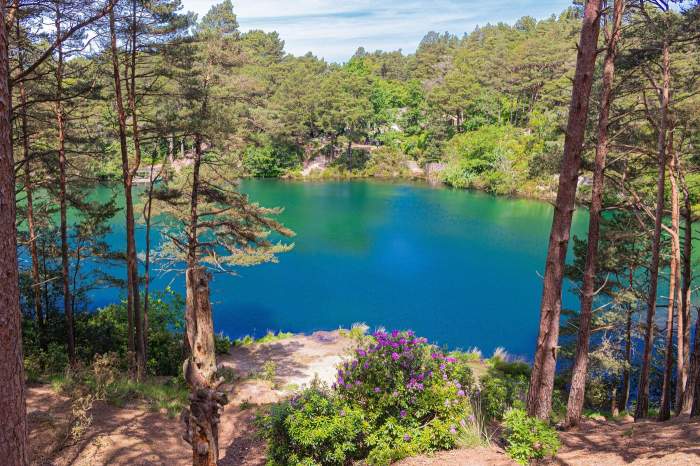 blue pool