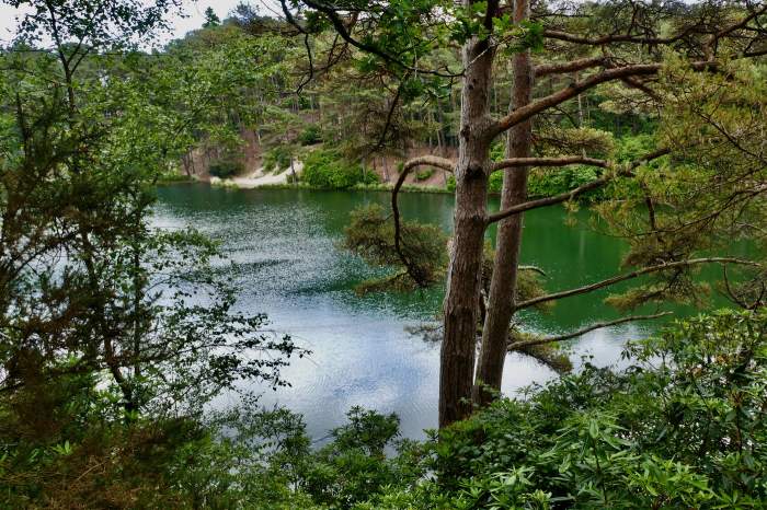 blue pool