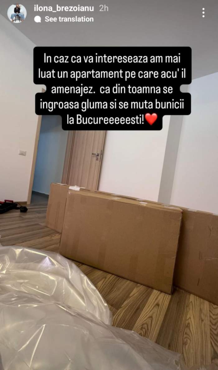 apartamentul Ilonei Brezoianu