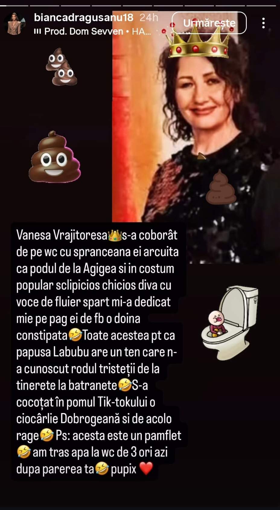 bianca dragusanu