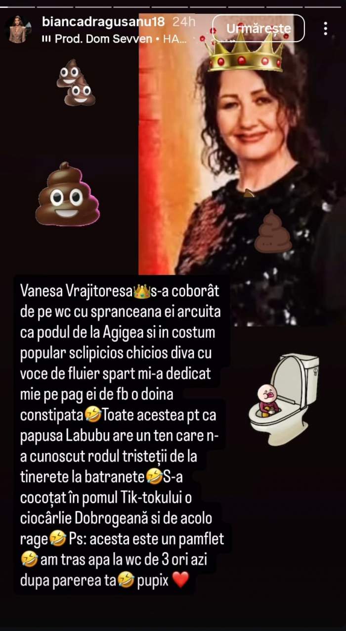 bianca dragusanu