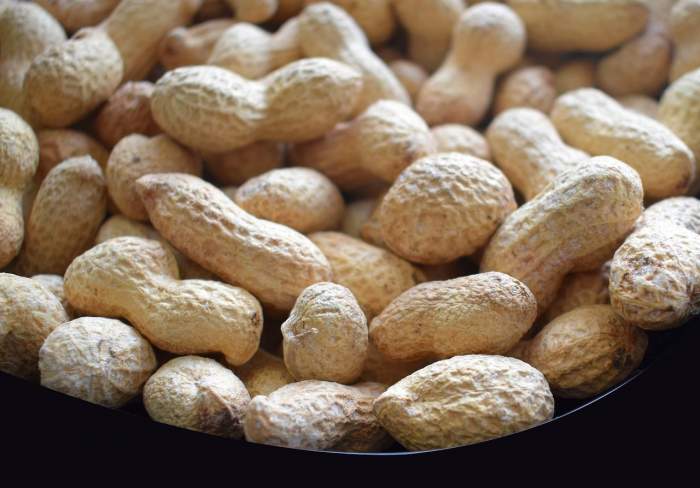 Alimentele care conțin mai multe proteine decât oul. Sunt delicioase și se pot prepara într-un mod simplu