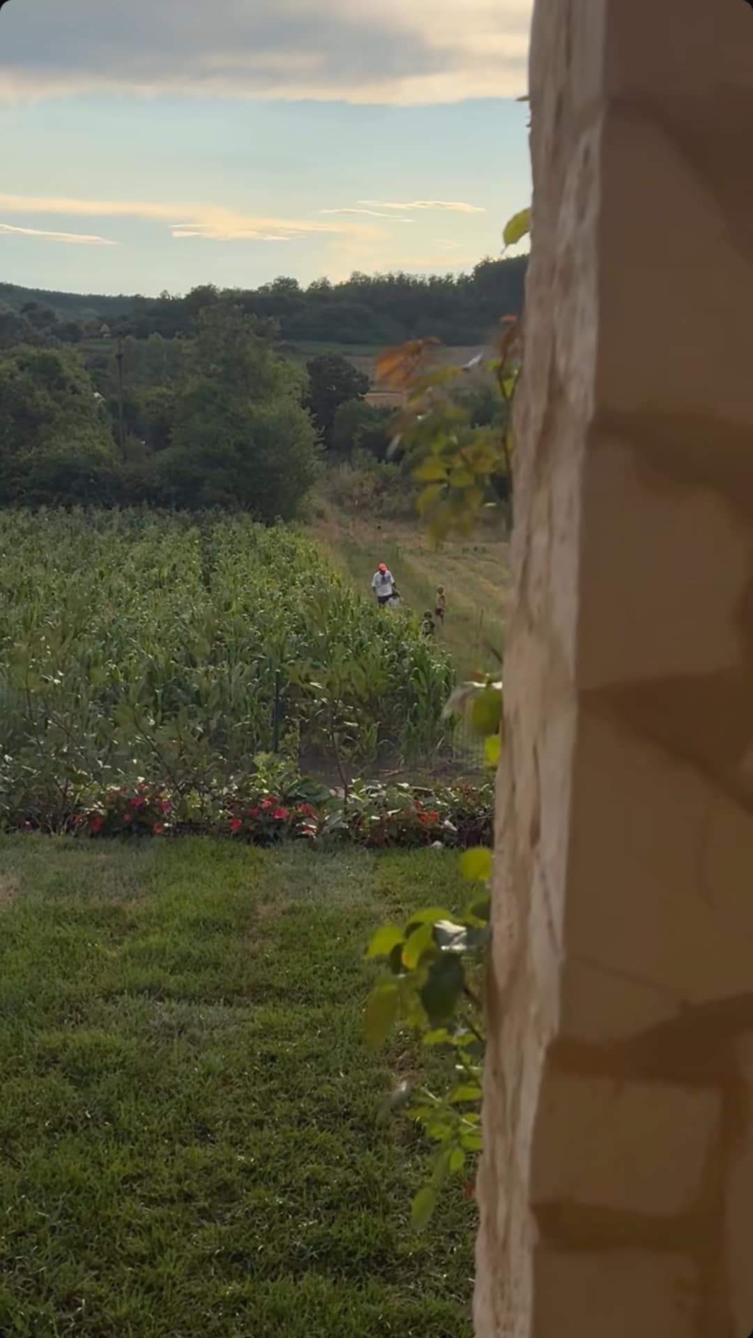 curtea din Șușani