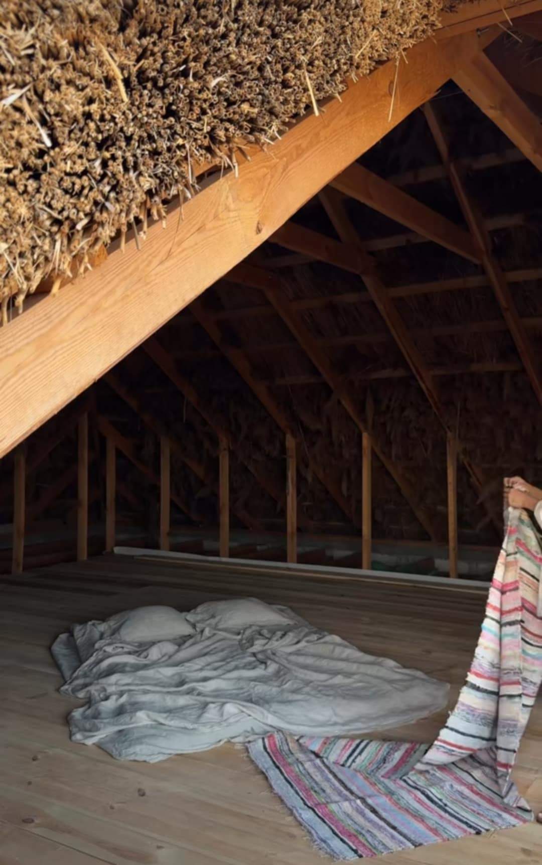 casa Sânzianei Negru