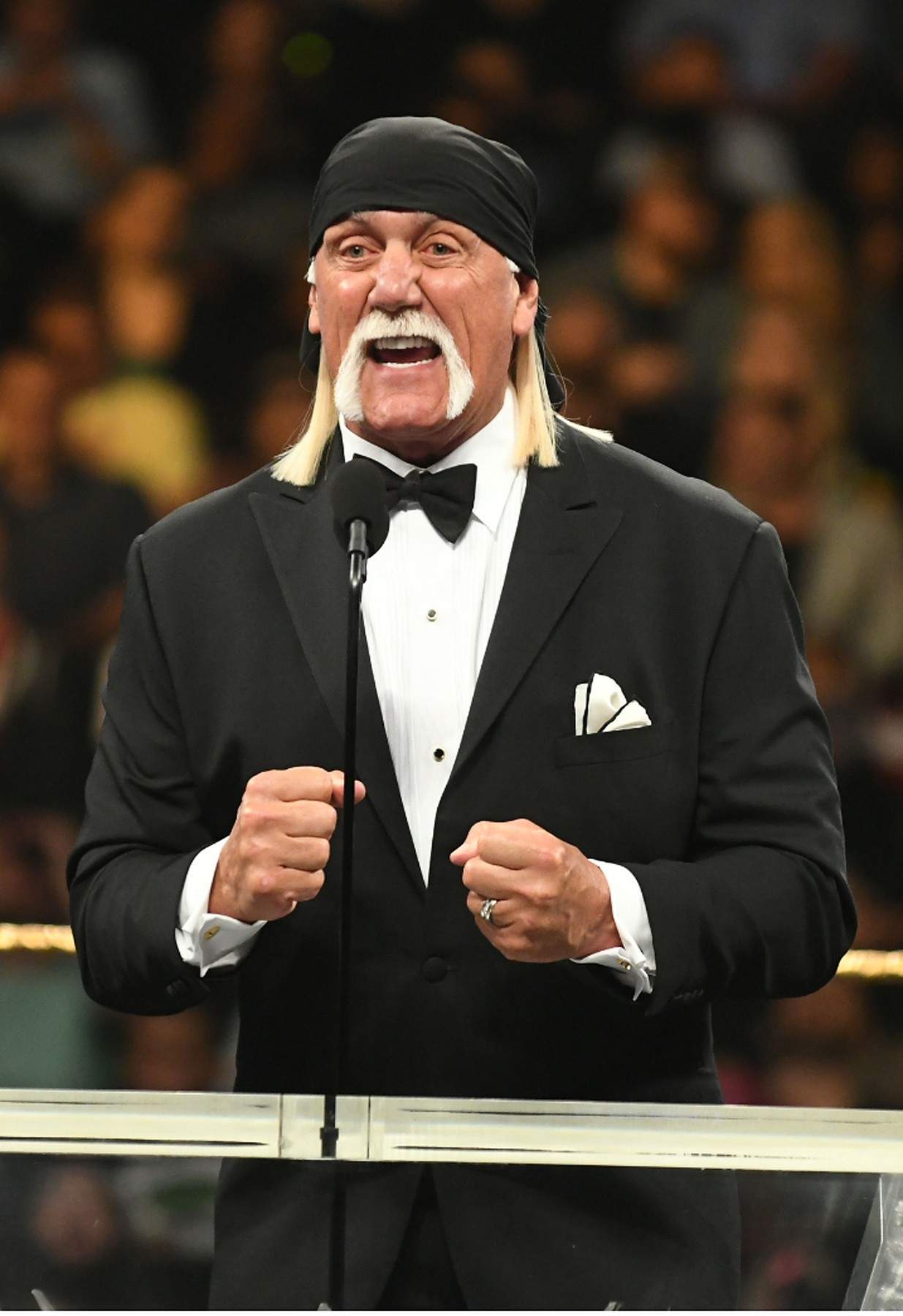 Hulk Hogan