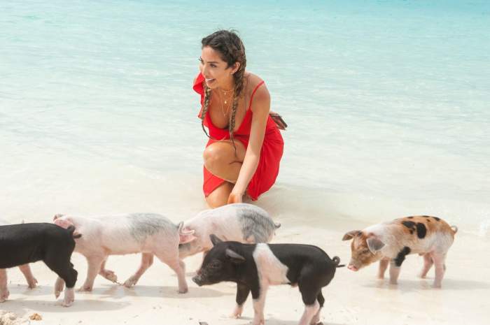 Staniel Cay