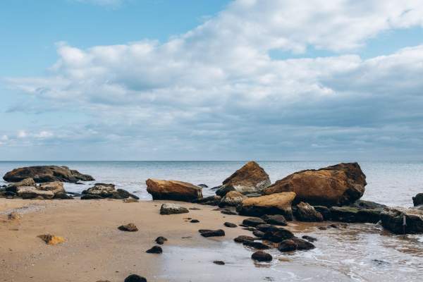 Amiba „mâncătoare de creier” face victime în Europa! Au fost înregistrate mai multe decese. Unde trebuie să fii atent când mergi în vacanță