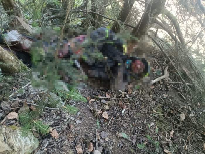 Incident grav pe Transfăgărășan! Un motociclist a fost atacat și ucis de un urs