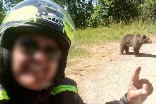 Cine este italianul ucis de urs. A fost și ieri pe Transfăgărășan și s-a apropiat de animalele sălbatice | FOTO