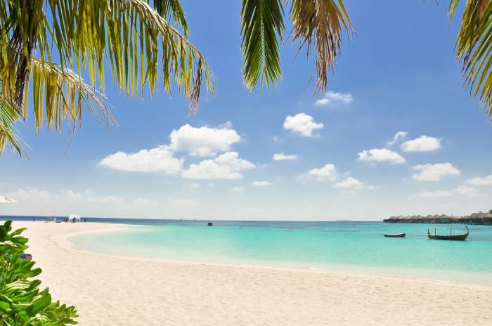 caraibe