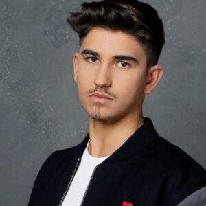 Sebastian Dobrincu, profil