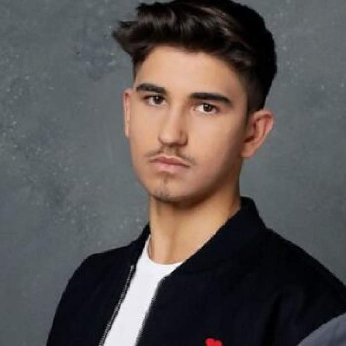 Sebastian Dobrincu, profil