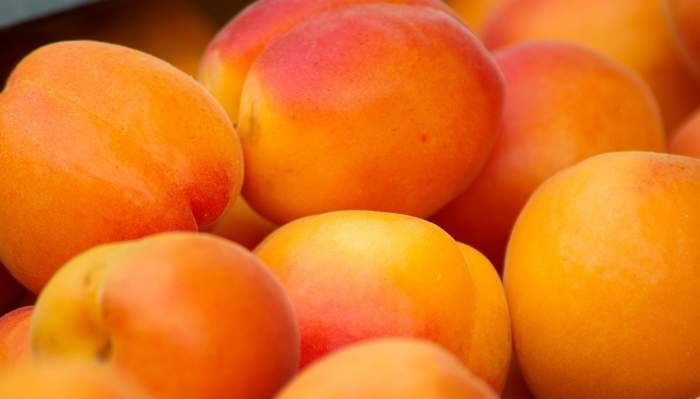 Rețetă de prăjitură cu caise. Desertul delicios pentru această vară