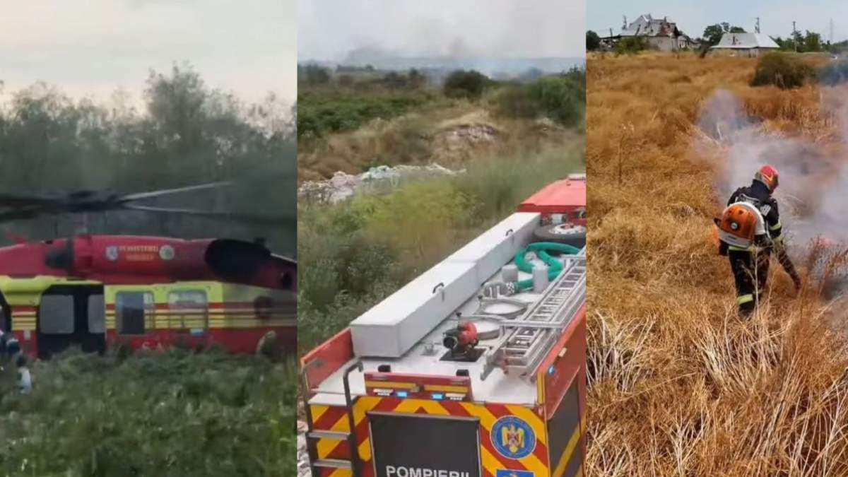 Incendii devastatoare de vegetație în România. Peste 1.000 de hectare afectate în ultimele zile | FOTO