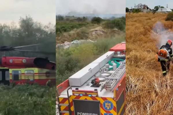 Incendii devastatoare de vegetație în România. Peste 1.000 de hectare afectate în ultimele zile | FOTO