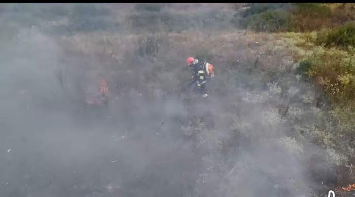 Incendii devastatoare de vegetație în România. Peste 1.000 de hectare afectate în ultimele zile | FOTO