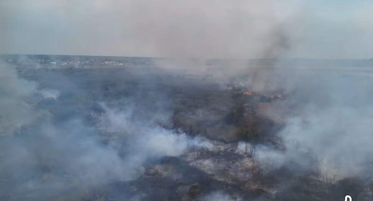 Incendii devastatoare de vegetație în România. Peste 1.000 de hectare afectate în ultimele zile | FOTO