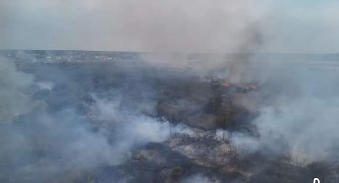 Incendii devastatoare de vegetație în România. Peste 1.000 de hectare afectate în ultimele zile | FOTO