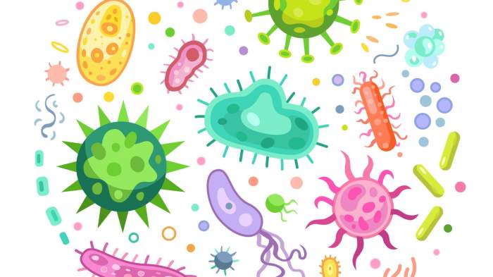 Cât de periculoasă este bacteria candida auris. Patru pacienți confirmați de la Spitalul Floreasca au fost pusi in izolare