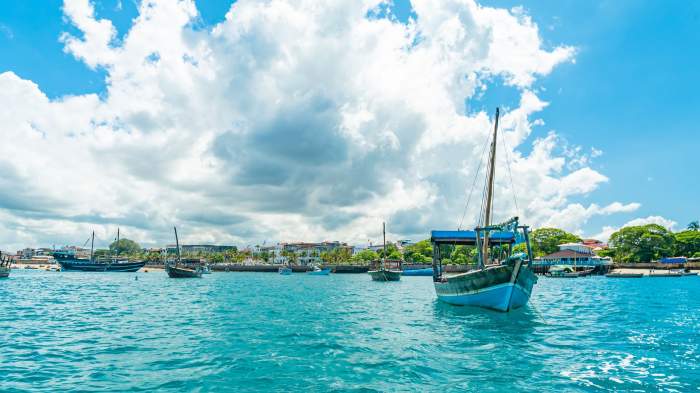Ţeapă de 73.000 de euro cu vacanţe fictive în Zanzibar. 33 de oameni din Satu Mare, păgubiţi