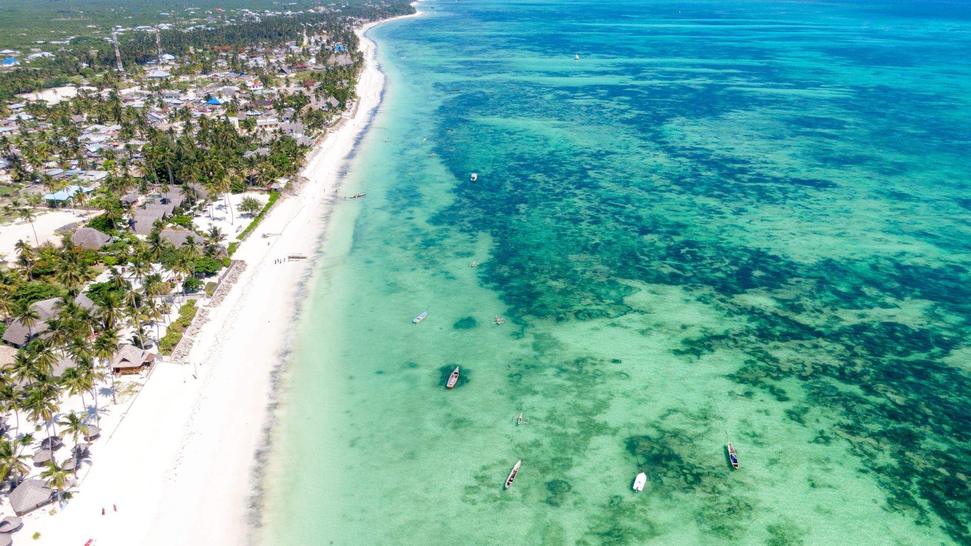 Ţeapă de 73.000 de euro cu vacanţe fictive în Zanzibar. 33 de oameni din Satu Mare, păgubiţi