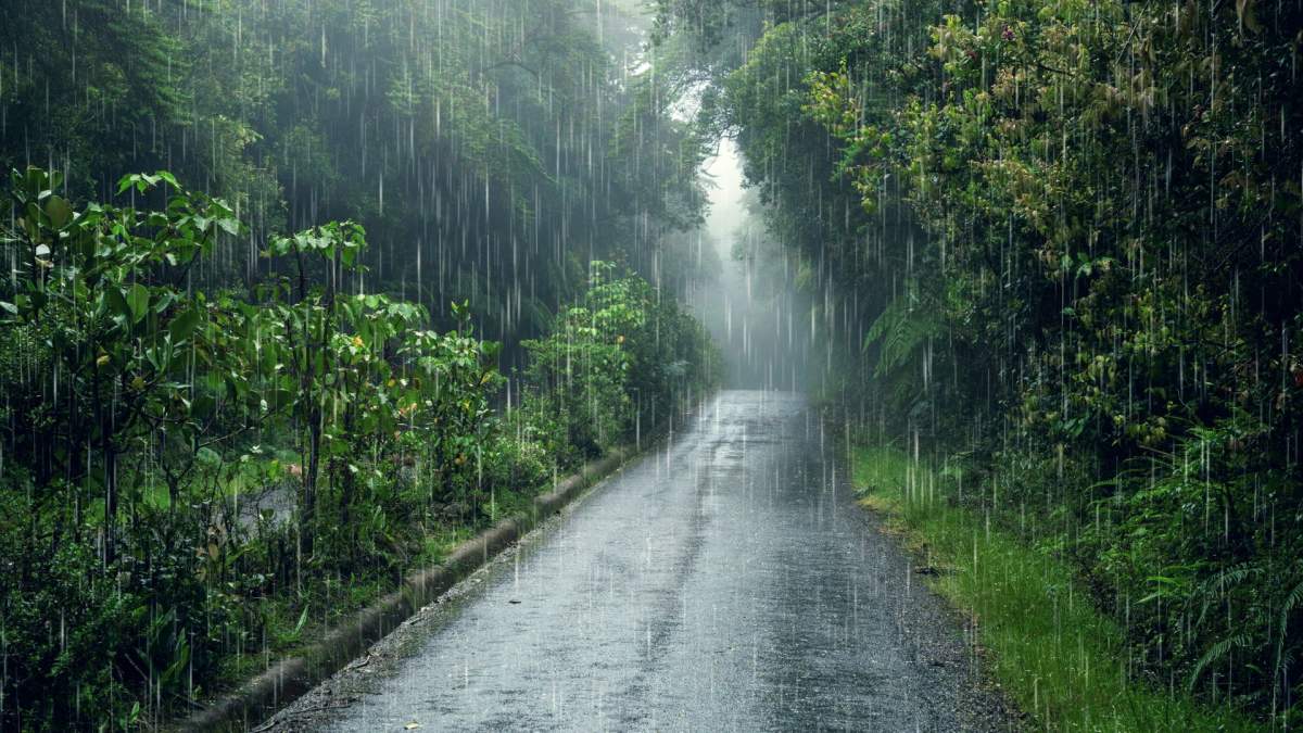 Alertă meteo! Cod galben de ploi torențiale emis de ANM în șase județe
