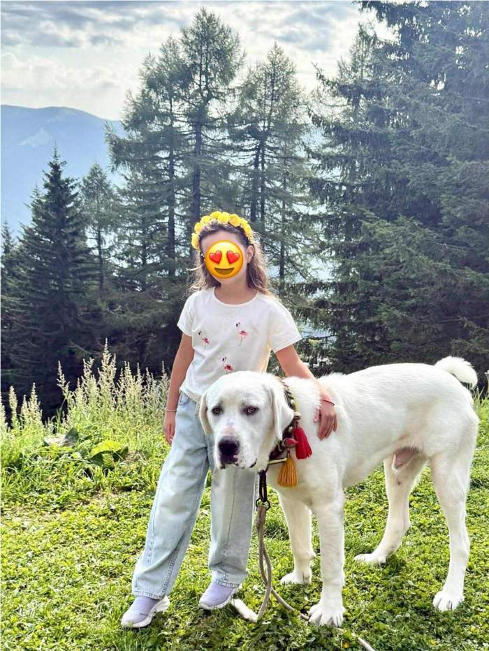 fiica elena udrea