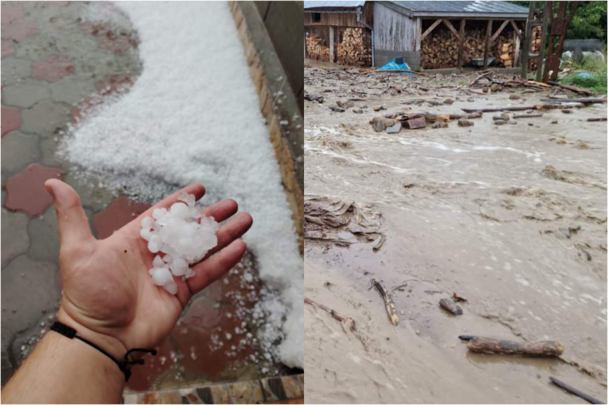 Vremea rea a făcut prăpăd în România! Copaci doborâți, peste 2.200 de persoane au rămas fără curent. Mai multe gospodării au fost inundate | FOTO